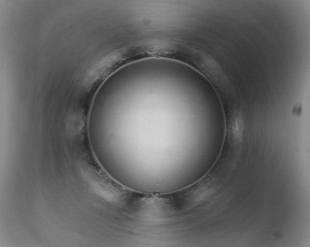 X0000111930367200907271319