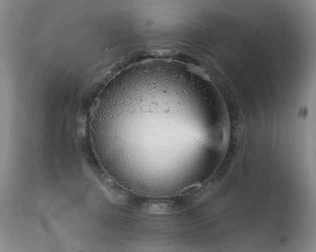 X0000111930368200907271319