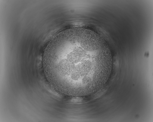 X0000111930369200907271319