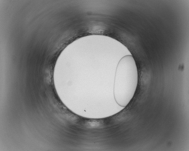X0000111930370200907271319
