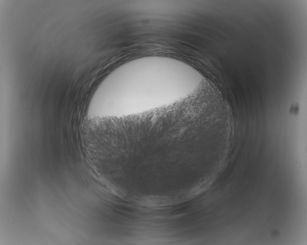 X0000111930371200907271319