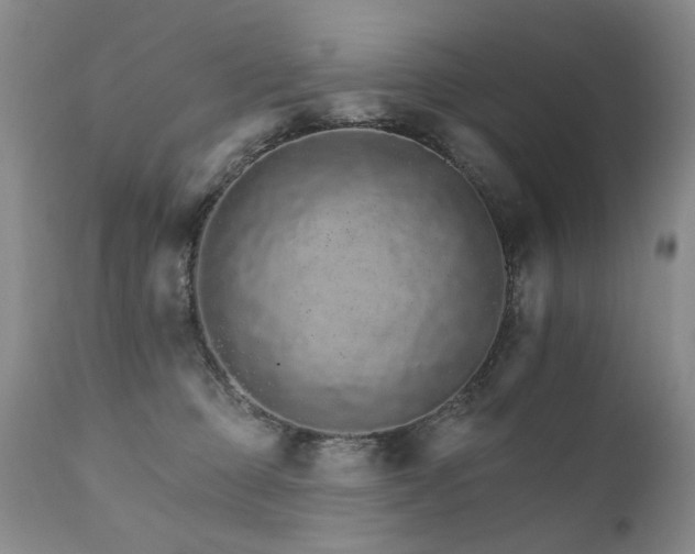 X0000111930373200907271319