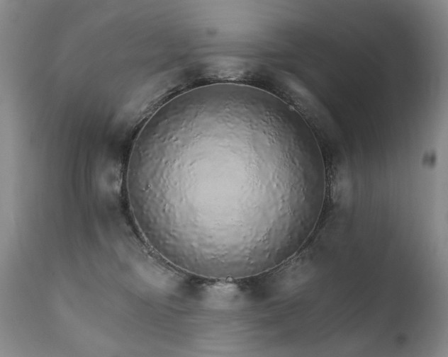 X0000111930374200907271319