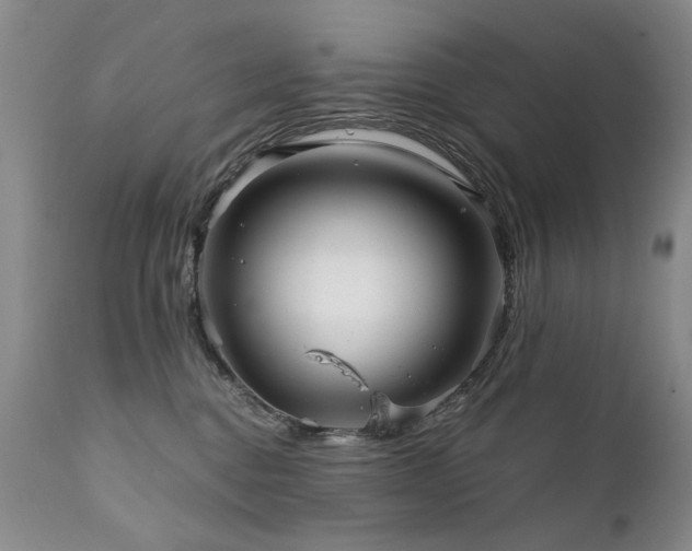 X0000111930376200907271319