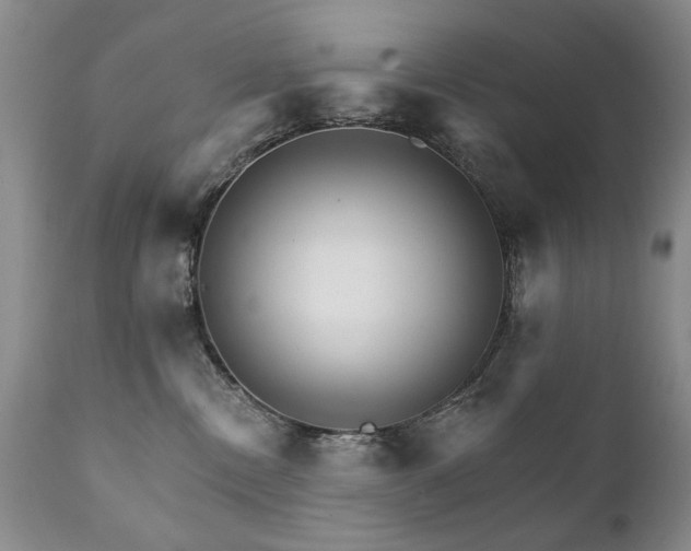 X0000111930378200907271319