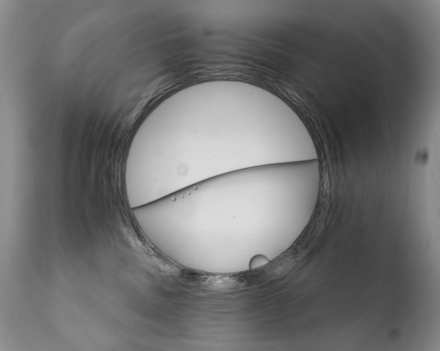 X0000111930379200907271319