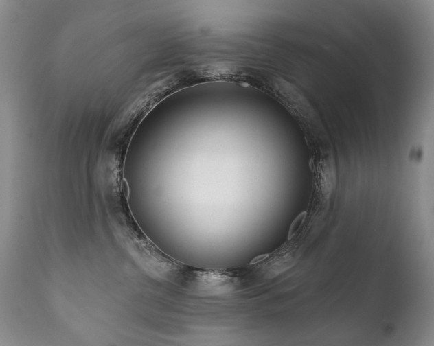 X0000111930380200907271319