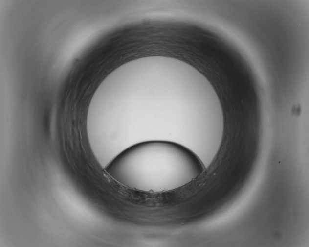 X0000111930382200907271319