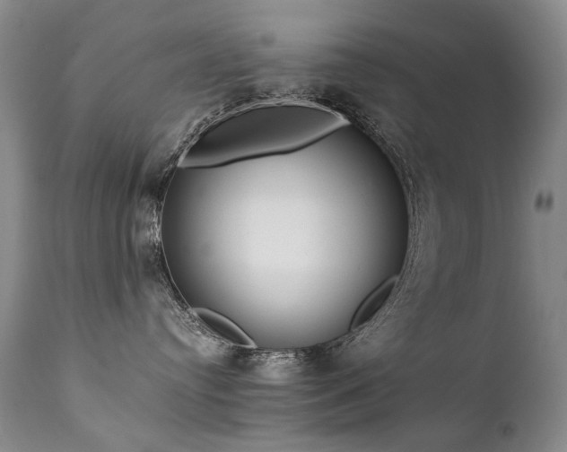 X0000111930384200907271319