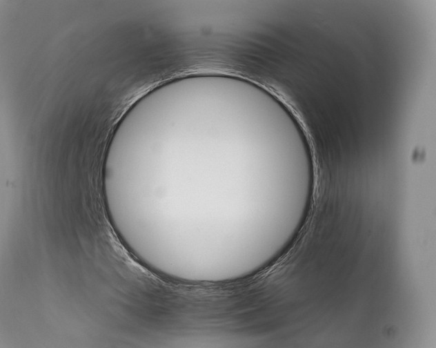 X0000111930385200907271318