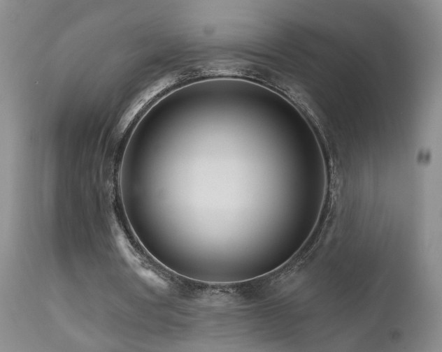X0000111930386200907271318