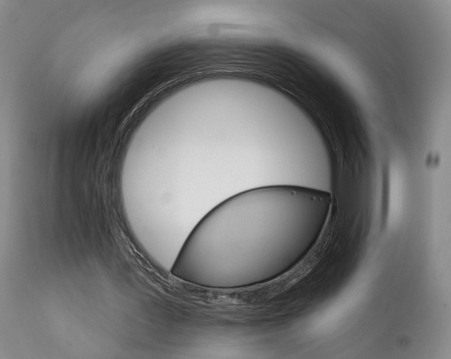X0000111930387200907271318