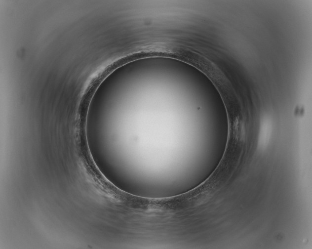 X0000111930388200907271318