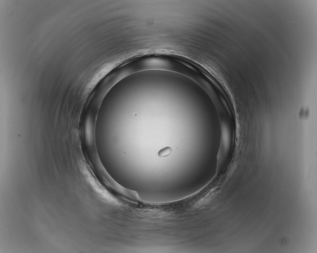 X0000111930389200907271318