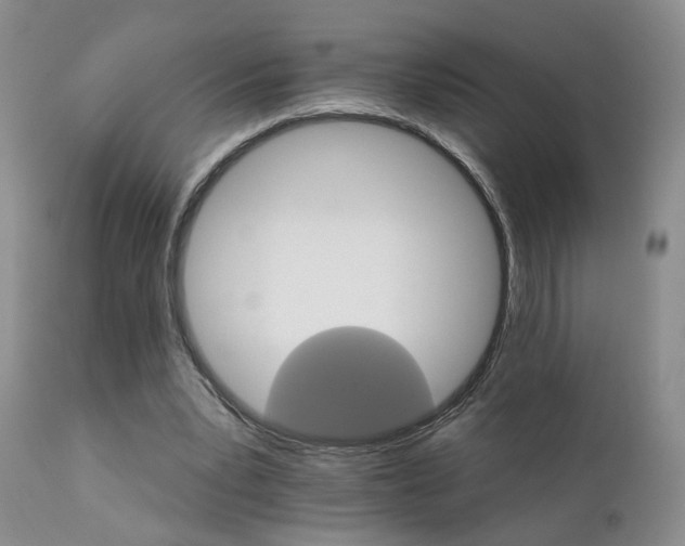 X0000111930391200907271318