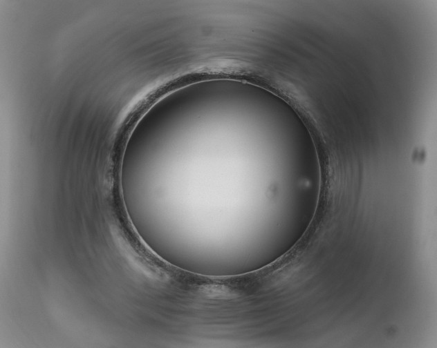X0000111930392200907271318