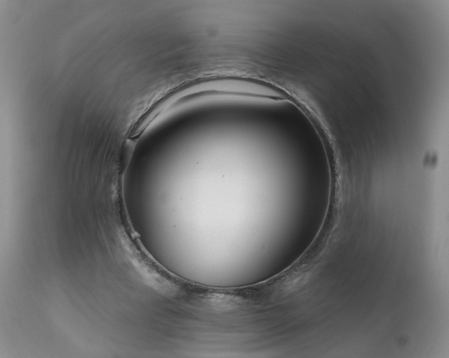 X0000111930393200907271318