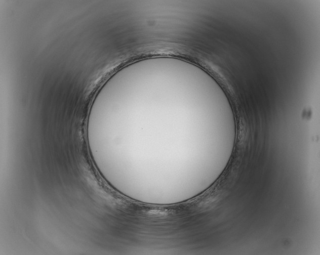 X0000111930394200907271318