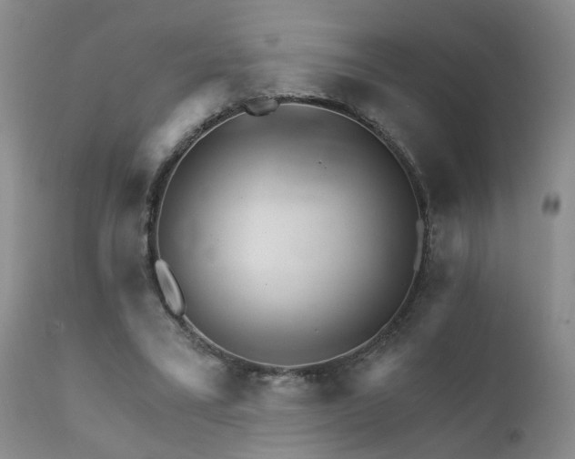 X0000111930395200907271318