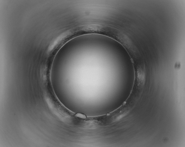 X0000111930396200907271318
