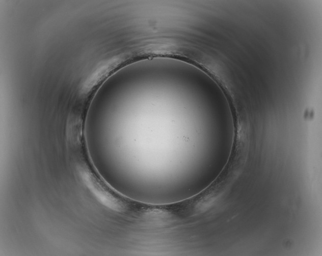 X0000111930397200907271318
