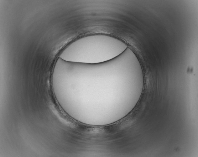 X0000111930398200907271318