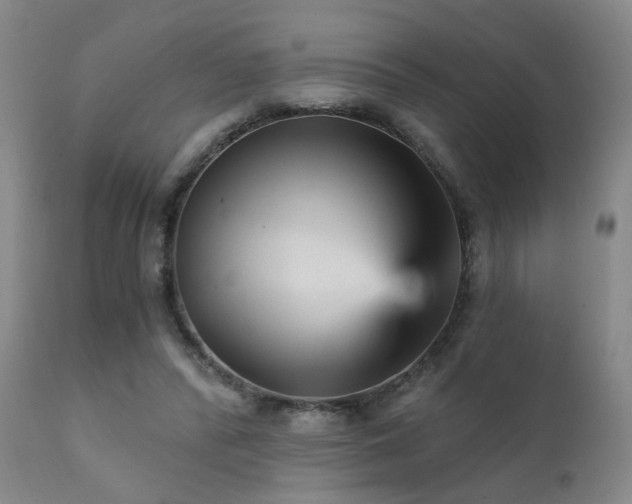 X0000111930400200907271318