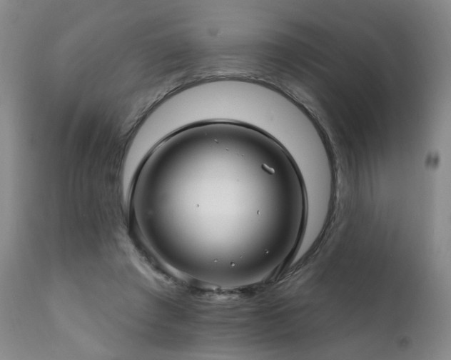X0000111930401200907271318