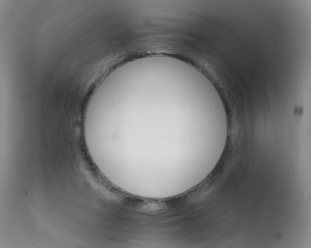 X0000111930402200907271318