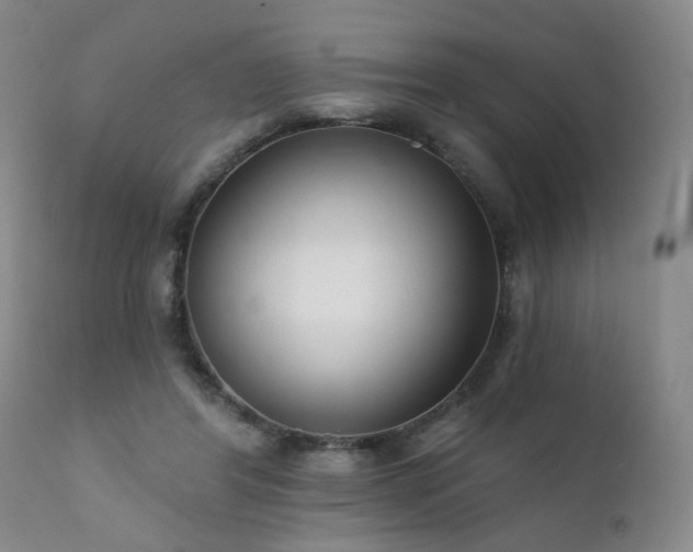 X0000111930404200907271318