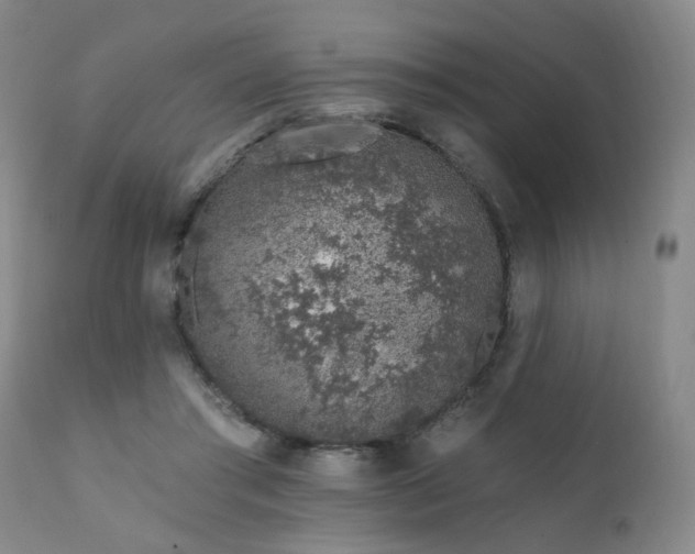 X0000111930405200907271318
