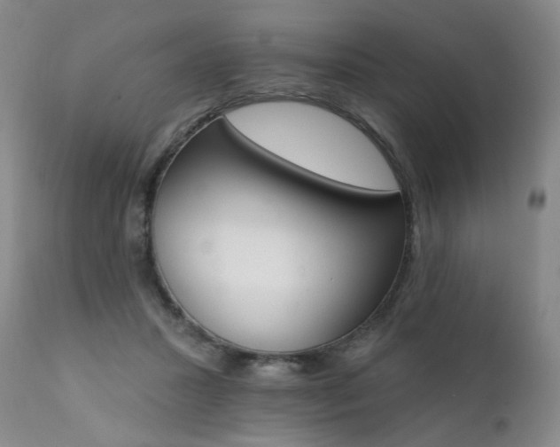 X0000111930407200907271318