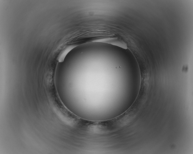 X0000111930408200907271318