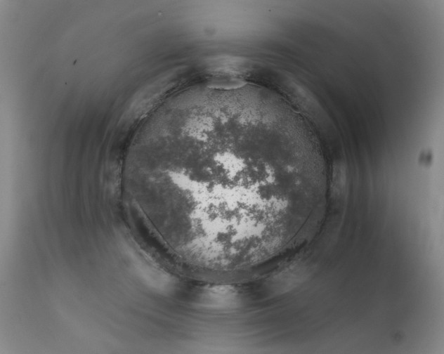 X0000111930409200907271318