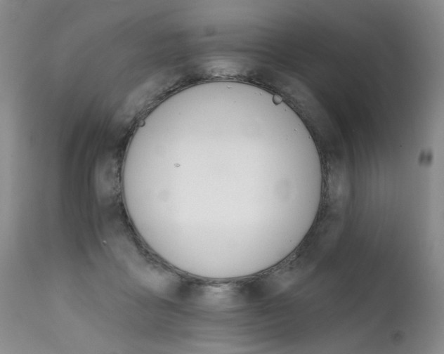 X0000111930411200907271318