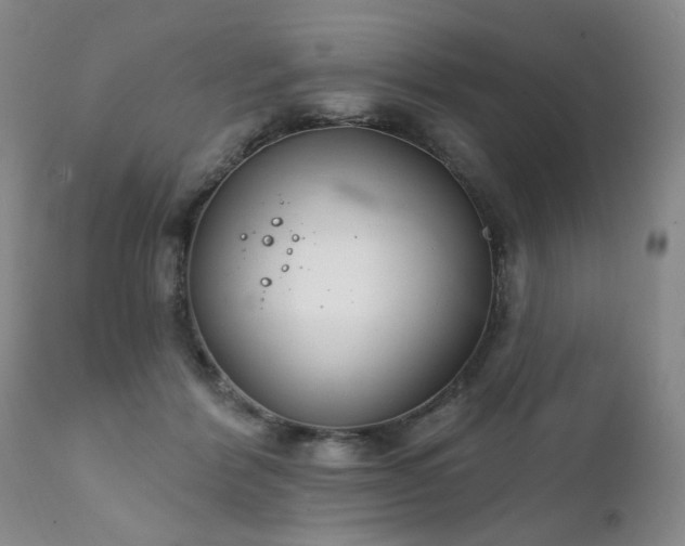 X0000111930412200907271318