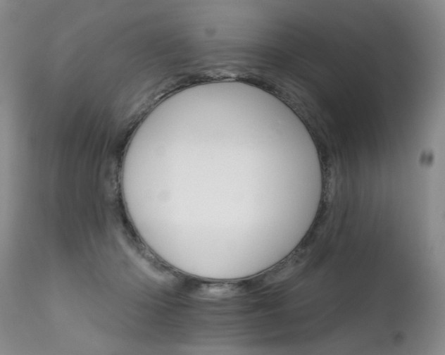 X0000111930414200907271318