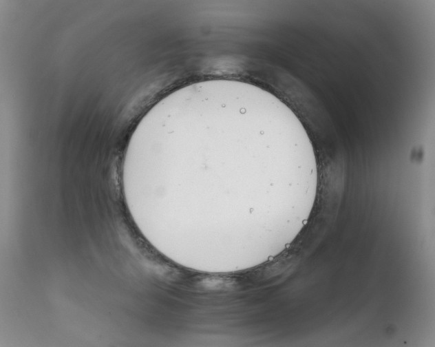 X0000111930415200907271318