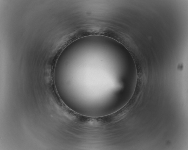 X0000111930416200907271318