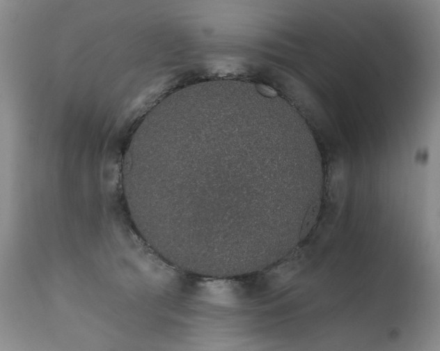 X0000111930417200907271318