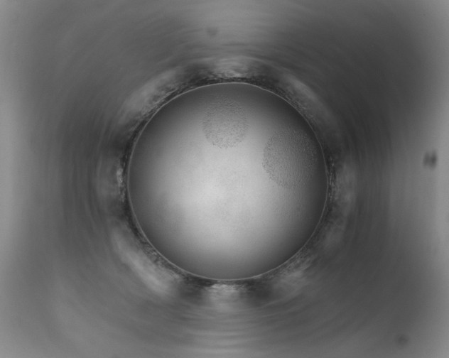 X0000111930418200907271318
