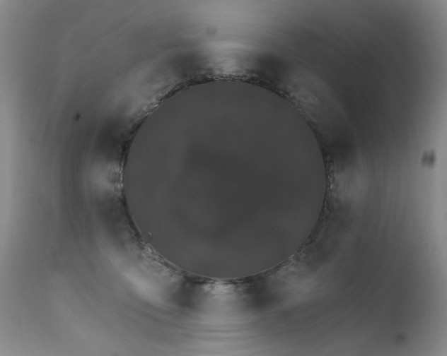 X0000111930419200907271318