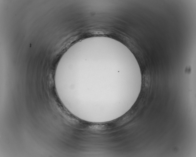 X0000111930422200907271318