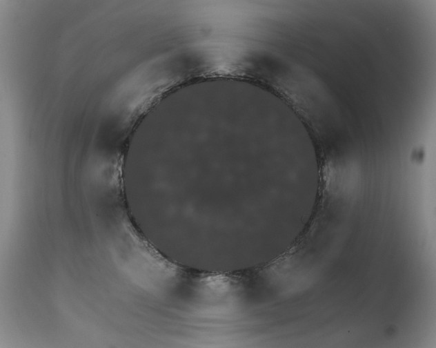 X0000111930423200907271318