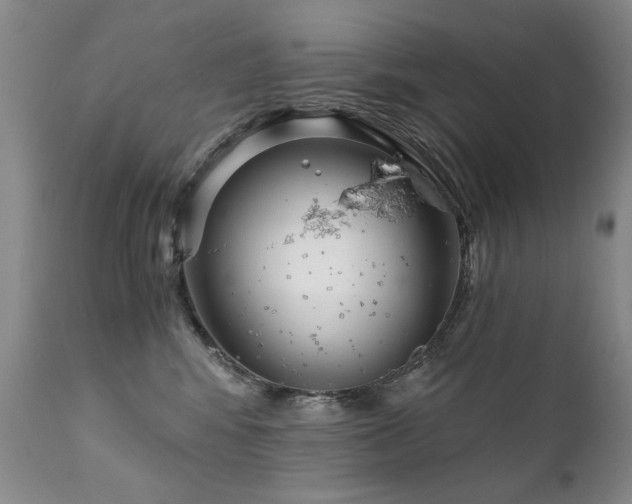 X0000111930424200907271318