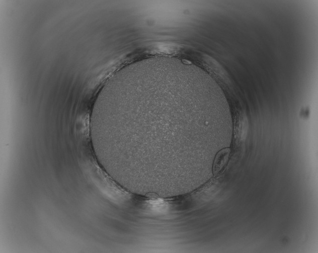 X0000111930425200907271318