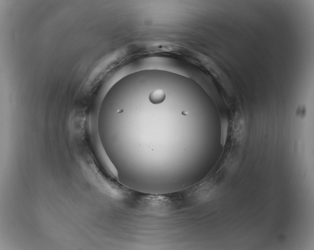X0000111930427200907271318