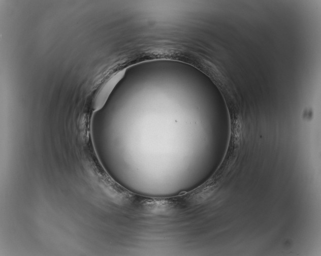 X0000111930428200907271318