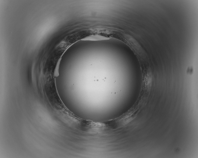 X0000111930429200907271318