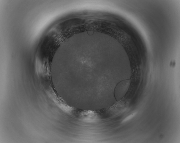 X0000111930431200907271318